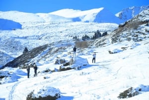 Almaty: Big Almaty Lake Yksityinen autokierros patikointimahdollisuudella