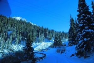 Almaty: Big Almaty Lake Yksityinen autokierros patikointimahdollisuudella