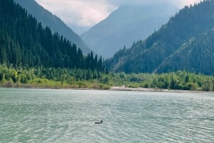 Private: Issyk lake, museum of Golden Man, Trout farm