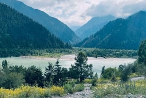 Private: Issyk lake, museum of Golden Man, Trout farm
