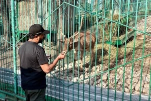 Private tour: Almaty Top 6 locations