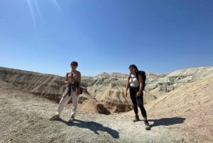 Almaty: Singing dunes, Aktau Mountains & Altyn Emel Day Trip