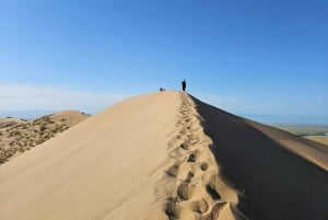 Almaty: Singing dunes, Aktau Mountains & Altyn Emel Day Trip