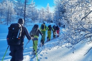 Ski touring in Western Altai