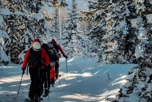 Ski touring in Western Altai