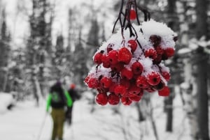 Ski touring in Western Altai