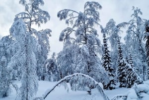 Ski touring in Western Altai