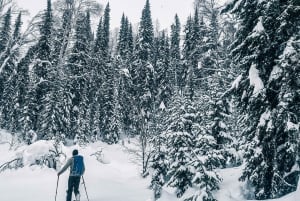 Ski touring in Western Altai