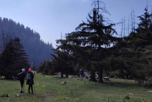 Skyline Hike in Almaty: Bukreev Peak