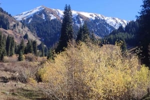 Skyline Hike in Almaty: Bukreev Peak