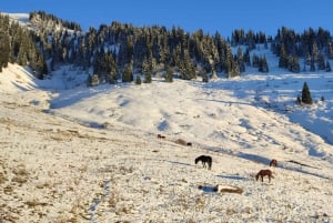 Skyline Hike in Almaty: Bukreev Peak