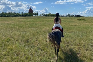 Steppe, zadels en sauna: tour door het historische mausoleum