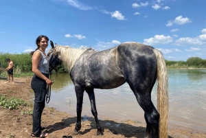 Steppe, zadels en sauna: tour door het historische mausoleum