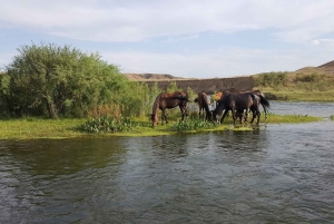 Steppe, zadels en sauna: tour door het historische mausoleum