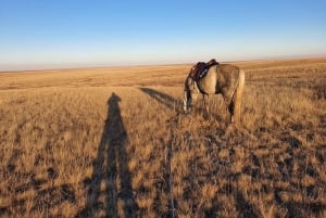 Steppe, zadels en sauna: tour door het historische mausoleum