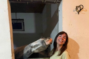 Steppe, zadels en sauna: tour door het historische mausoleum