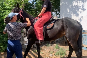 Steppe, zadels en sauna: tour door het historische mausoleum