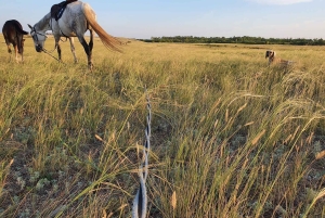 Steppe, zadels en sauna: tour door het historische mausoleum