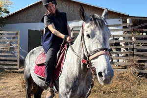 Steppe, zadels en sauna: tour door het historische mausoleum