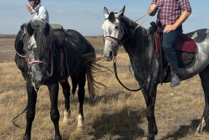 Steppe, zadels en sauna: tour door het historische mausoleum