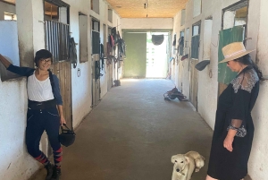 Steppe, zadels en sauna: tour door het historische mausoleum