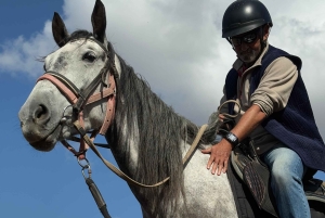 Steppe, zadels en sauna: tour door het historische mausoleum