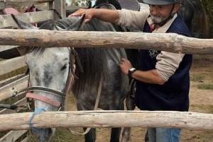 Steppe, zadels en sauna: tour door het historische mausoleum