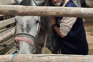 Steppe, zadels en sauna: tour door het historische mausoleum