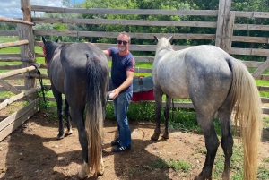 Steppe, zadels en sauna: tour door het historische mausoleum