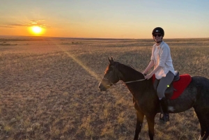 Steppe, zadels en sauna: tour door het historische mausoleum
