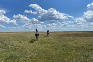 Steppe, zadels en sauna: tour door het historische mausoleum