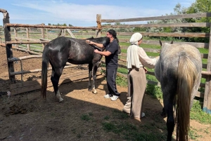 Steppe, zadels en sauna: tour door het historische mausoleum