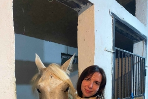 Steppe, zadels en sauna: tour door het historische mausoleum