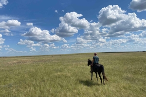 Steppe, zadels en sauna: tour door het historische mausoleum