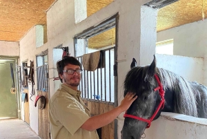 Steppe, zadels en sauna: tour door het historische mausoleum