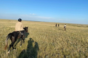 Steppe, zadels en sauna: tour door het historische mausoleum