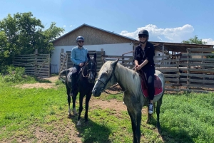 Steppe, zadels en sauna: tour door het historische mausoleum