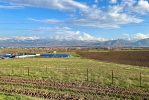 Tanbaly-ravinen: Forntida hällristningar UNESCO-världsarv, dagstur