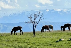 Tanbaly-ravinen: Forntida hällristningar UNESCO-världsarv, dagstur