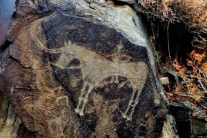 Tanbaly-ravinen: Forntida hällristningar UNESCO-världsarv, dagstur