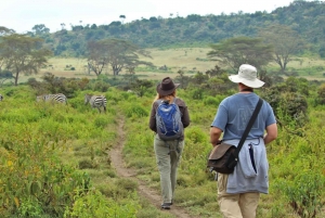 Mount Longonot Day Hiking From Nairobi