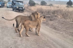 1 dag Nairobi Stadshöjdpunkter