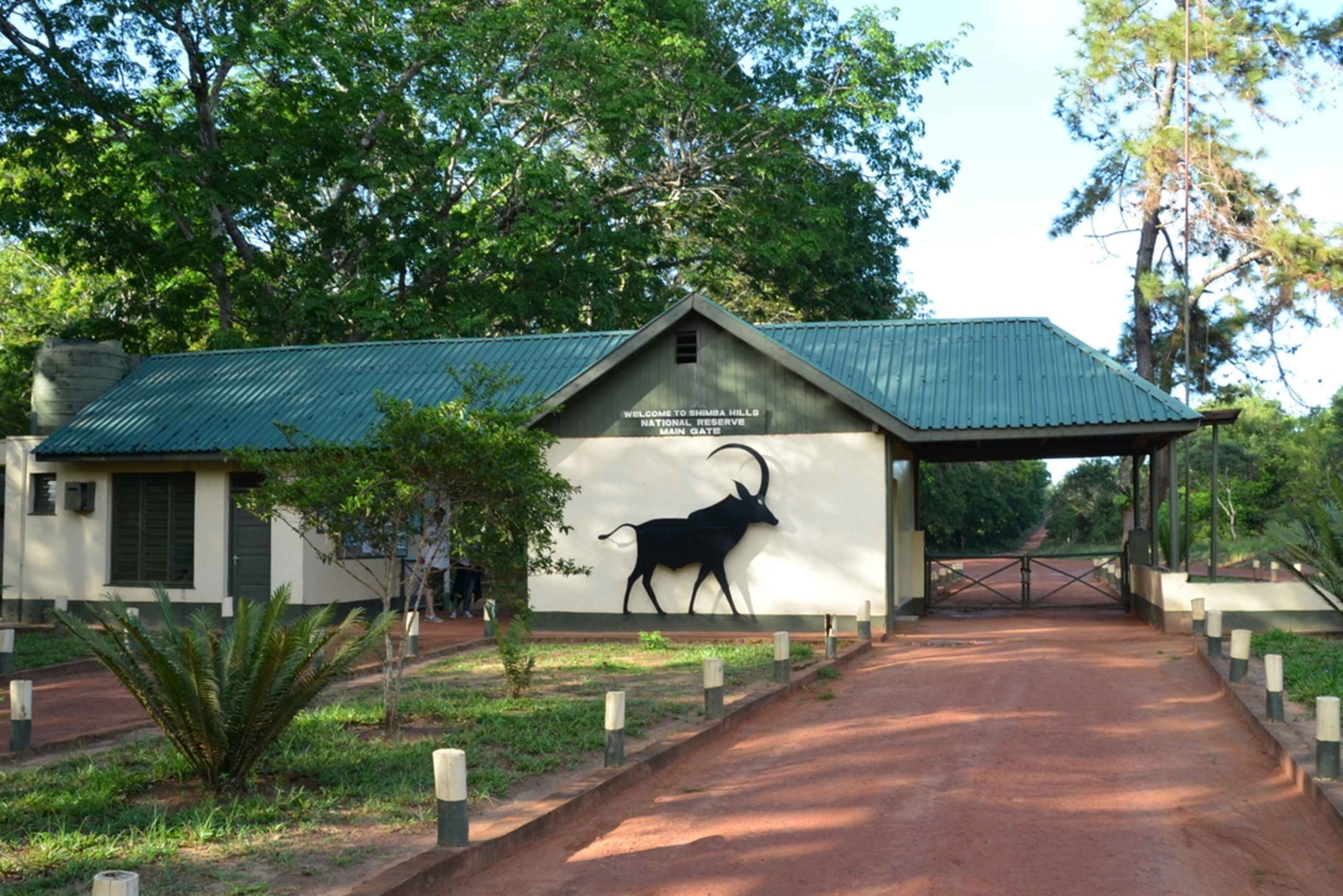 Excursão de 1 dia pelas colinas de Shimba