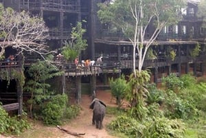 1 day Shimba Hills Tour