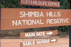 1 day Shimba Hills Tour