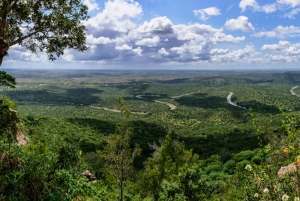 Excursão de 1 dia pelas colinas de Shimba