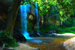 Excursão de 1 dia pelas colinas de Shimba