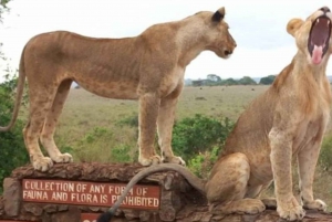 1 JOUR AU PARC NATIONAL DE NAIROBI