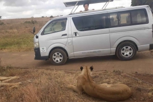 1 JOUR AU PARC NATIONAL DE NAIROBI