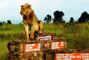 1 JOUR AU PARC NATIONAL DE NAIROBI